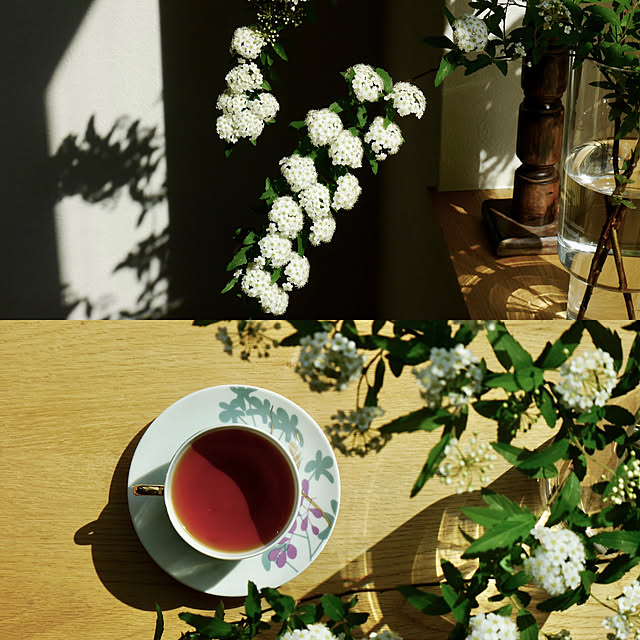 Norikaさんの実例写真