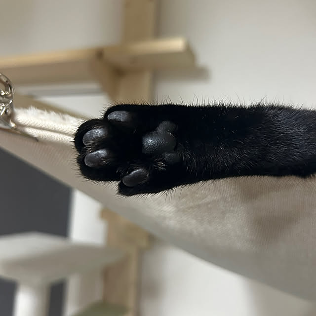 junさんの部屋