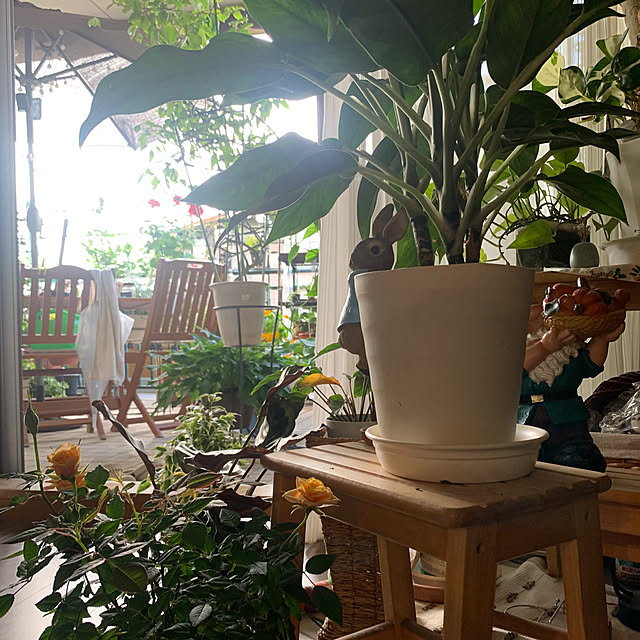 Aqettyさんの部屋