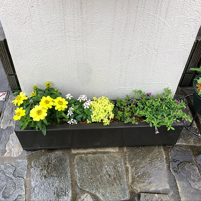 tomoさんの実例写真