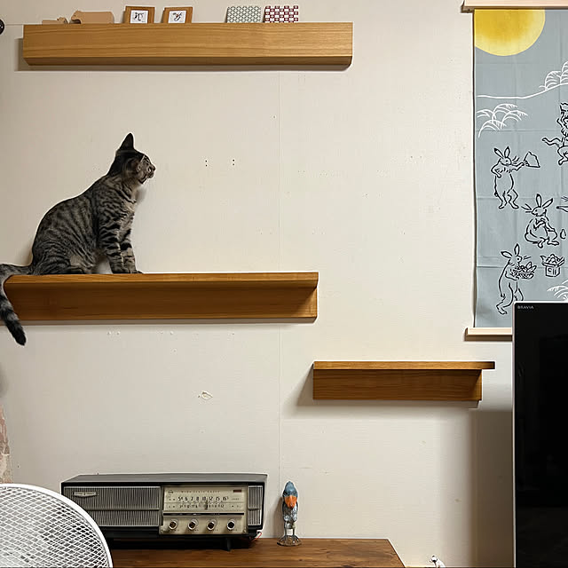 kuzumeganeさんの実例写真