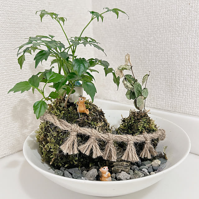 honiさんの部屋
