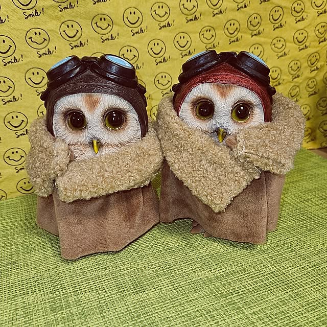 mocomocoさんの実例写真