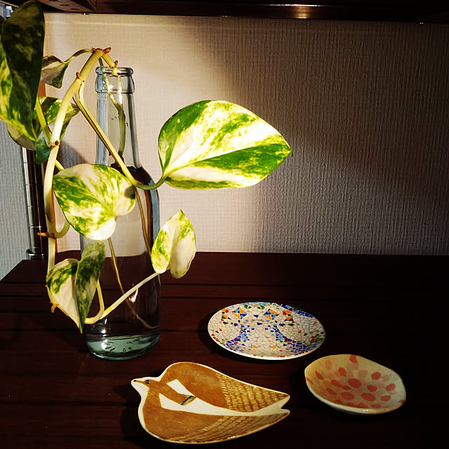 Kanaeさんの実例写真