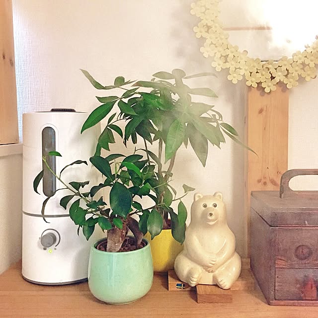 ryoさんの実例写真
