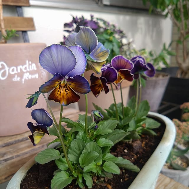 kerochanさんの実例写真