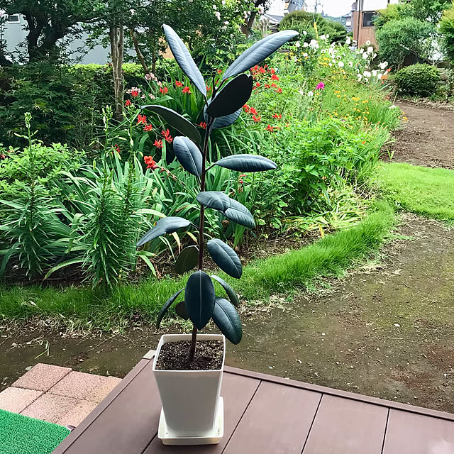 houenさんの部屋