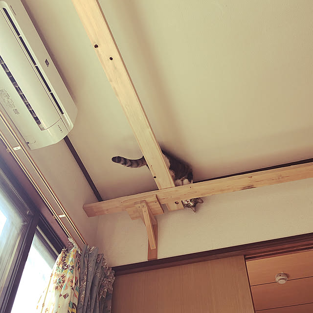 mill_0303さんの実例写真