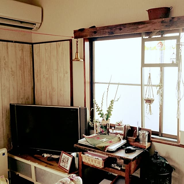 リビング/多肉植物/賃貸/DIY/観葉植物のインテリア実例 - 2015-02-02 11:39:13