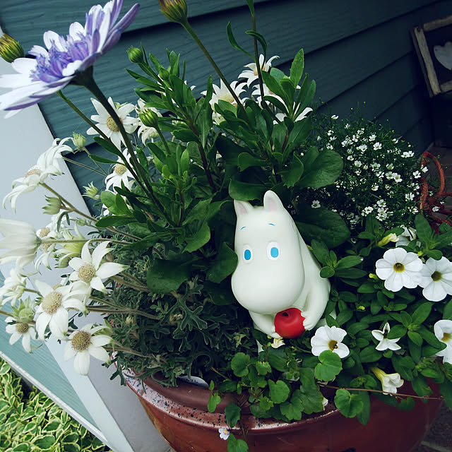 okeiさんの実例写真