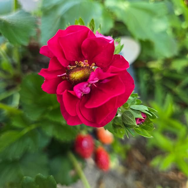 min_nimさんの実例写真