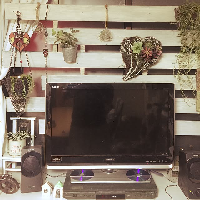 リビング/植物/DIY/多肉植物/セリアのインテリア実例 - 2015-11-07 19:56:28
