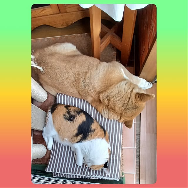 nanaさんの部屋