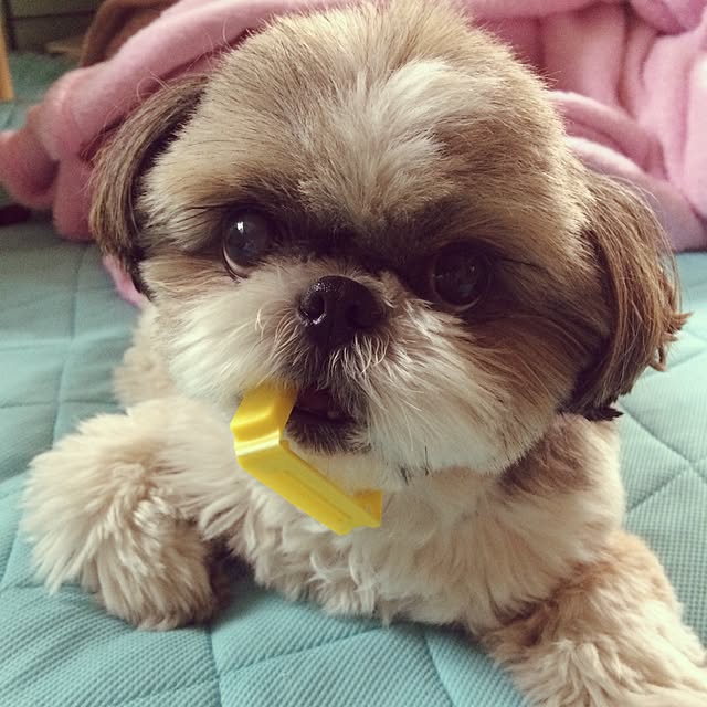 ANNAさんの実例写真