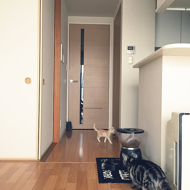 hiyupan88さんの実例写真