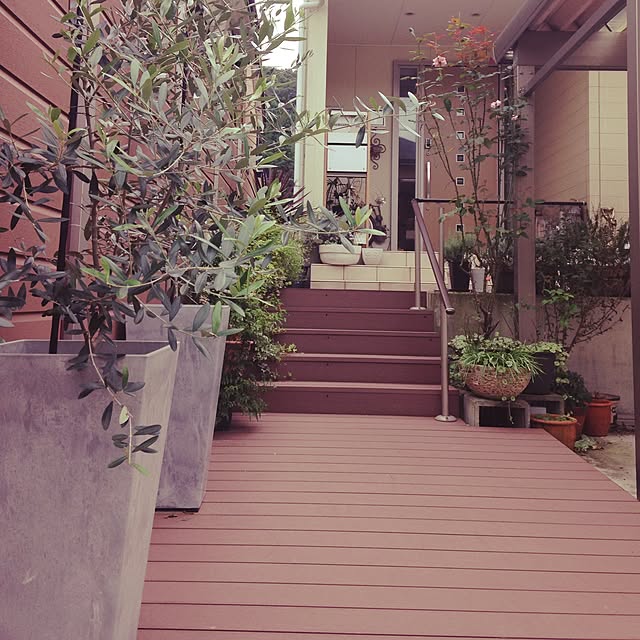 damihotoさんの実例写真