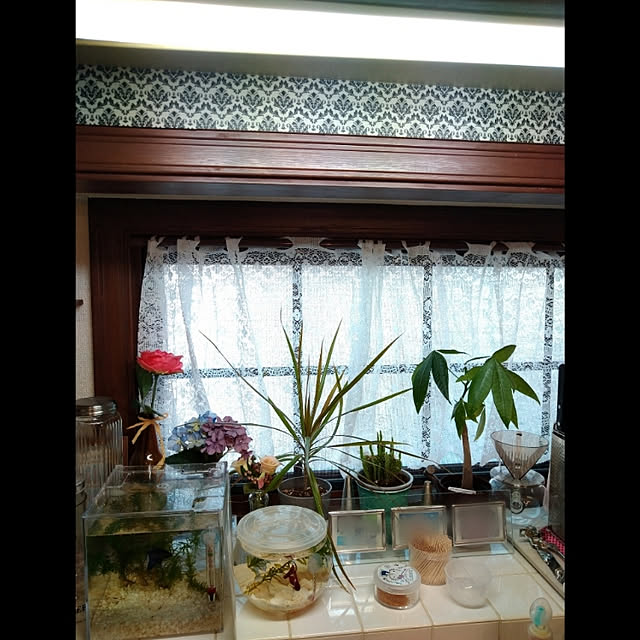 Tさんの実例写真