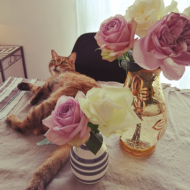 実例写真