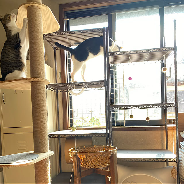 chokku23さんの実例写真