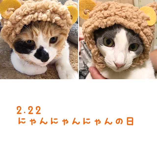 sayaka.さんの実例写真