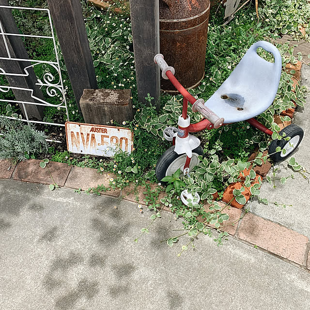 nicoさんの実例写真