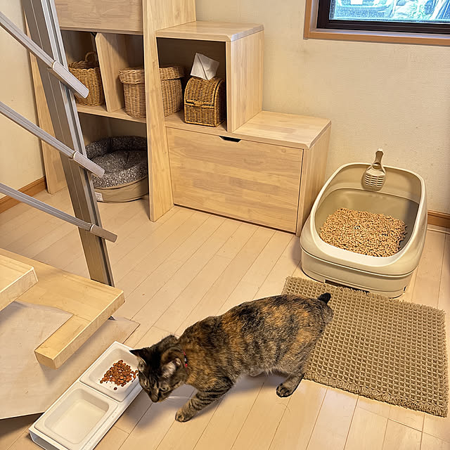 chinaさんの部屋