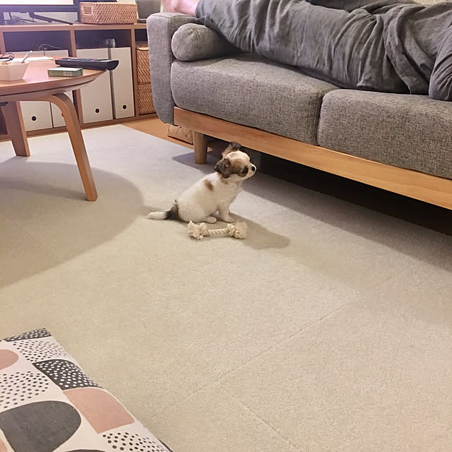 haritakaさんの実例写真