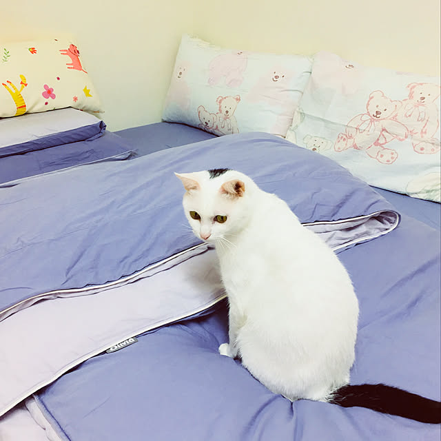 pcu110さんの実例写真