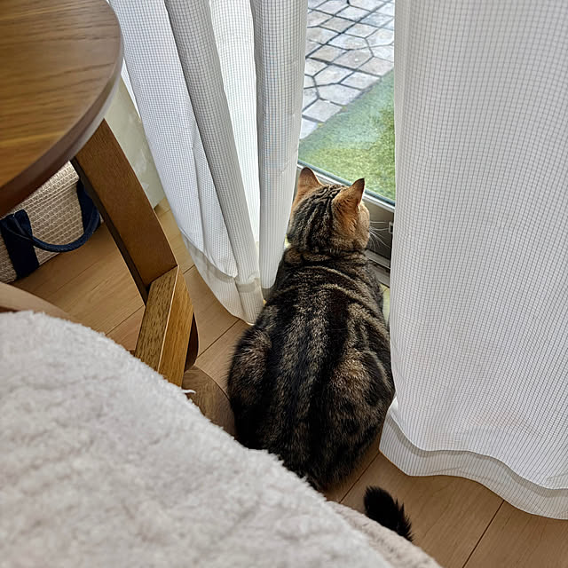 chiiさんのお部屋の写真