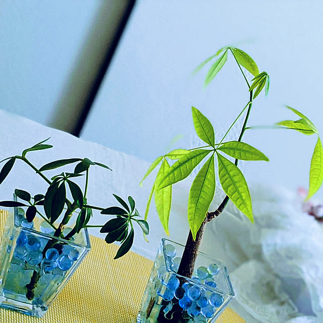 nonkoさんの実例写真