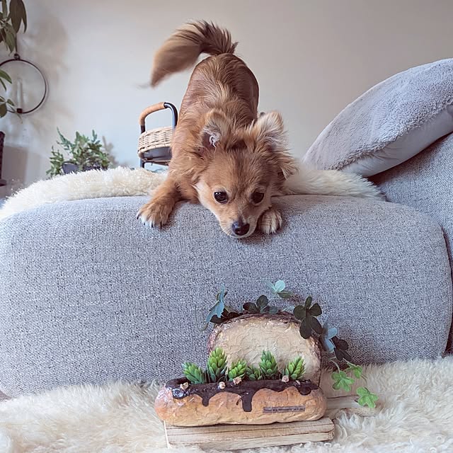 noahさんの実例写真