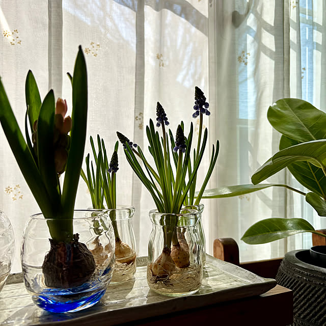 nana77さんの部屋