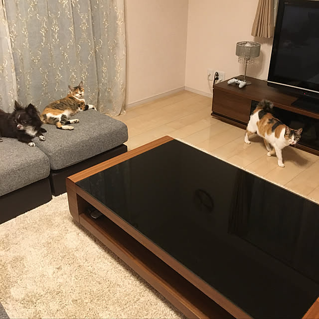 Ayumiさんの実例写真