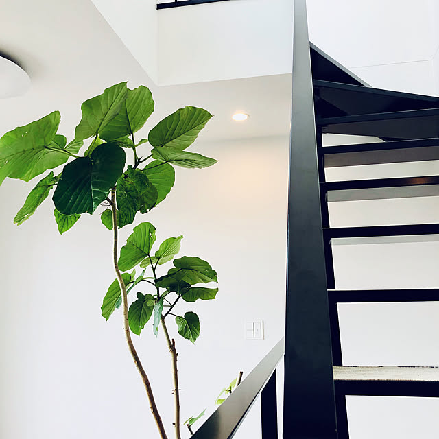 life-with-greenさんの実例写真