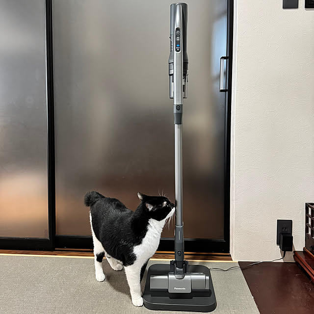 porinさんの実例写真