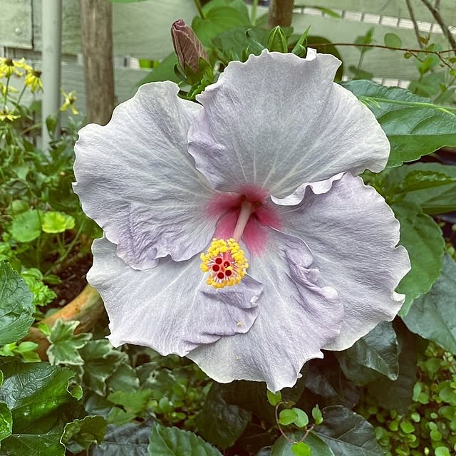 min_nimさんの実例写真