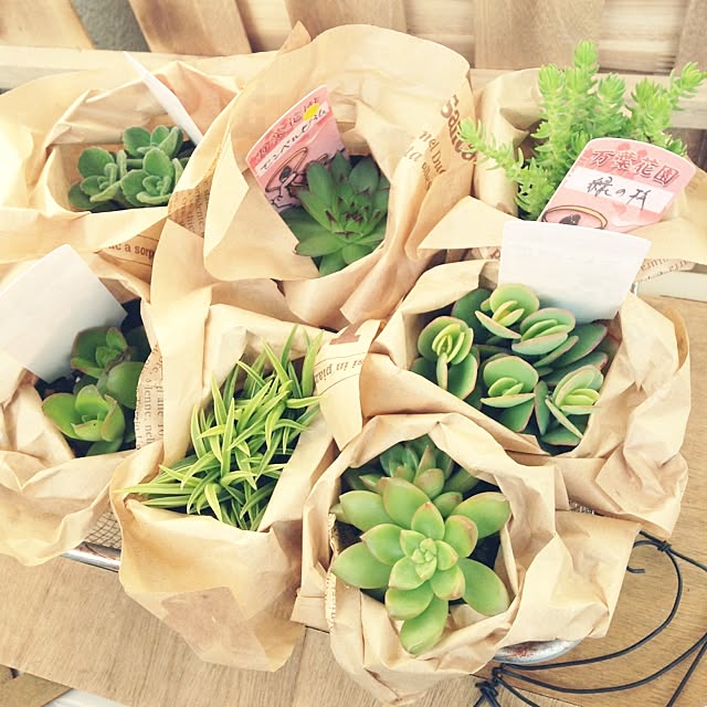 studio-fleurさんの実例写真