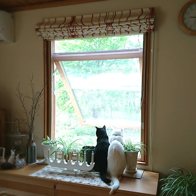 mimiさんの実例写真
