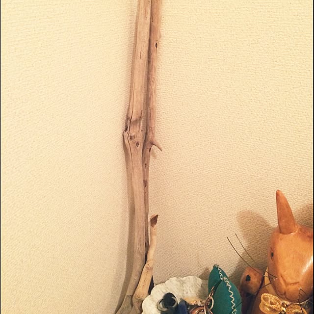 noranekoさんの実例写真