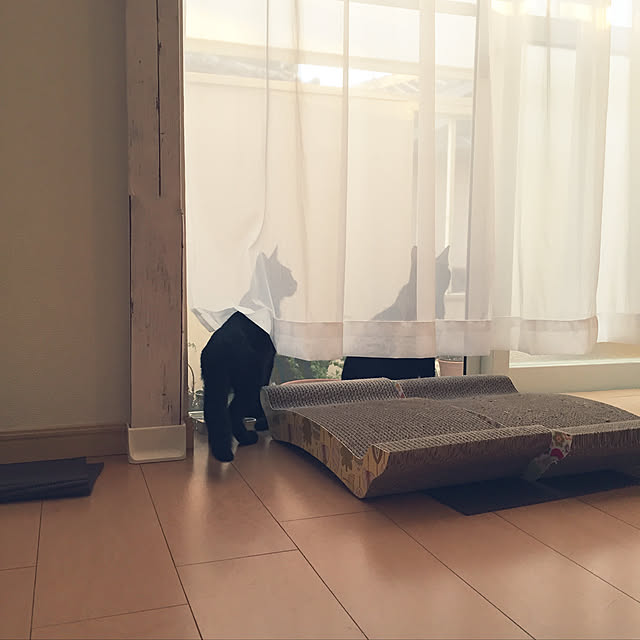 greencynosさんの実例写真
