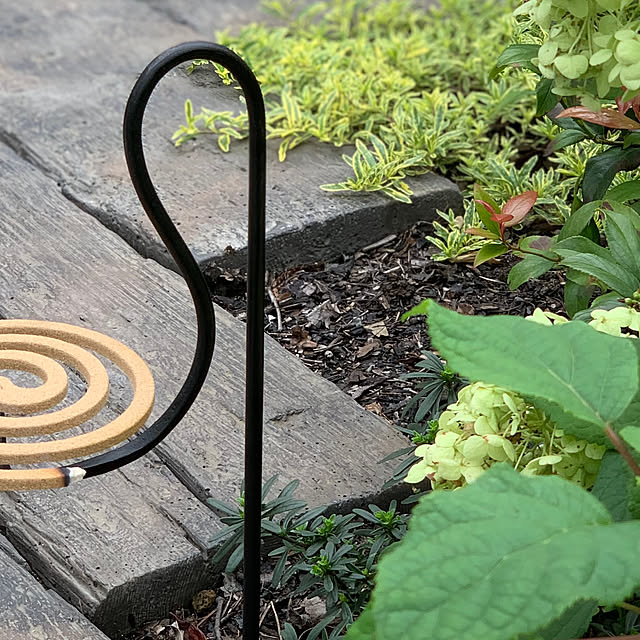 Royal_Gardeners_Clubさんの部屋