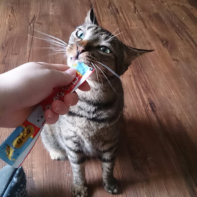 riroさんの実例写真