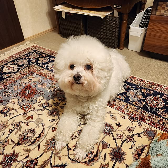 takoさんの実例写真