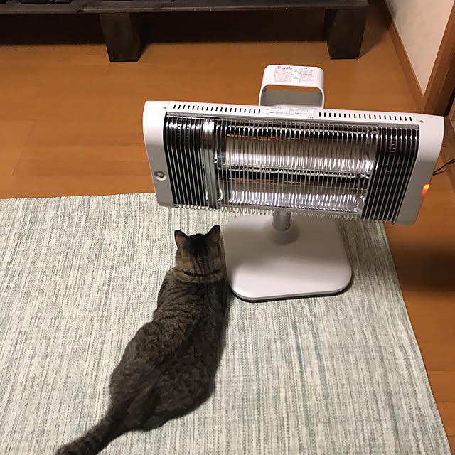 mikan161さんの実例写真