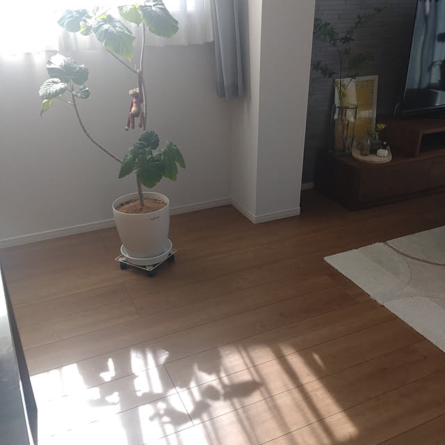 tan5さんの実例写真