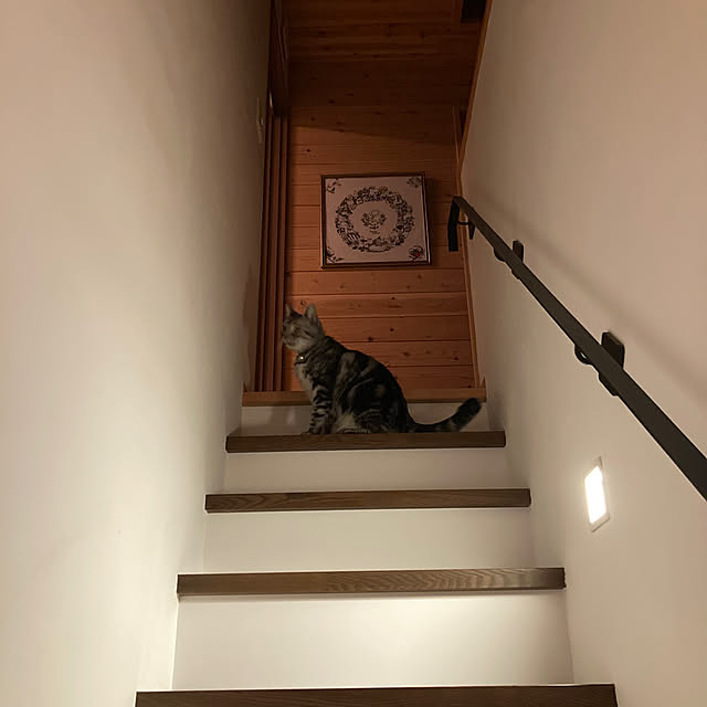 mkmkmoominさんの部屋