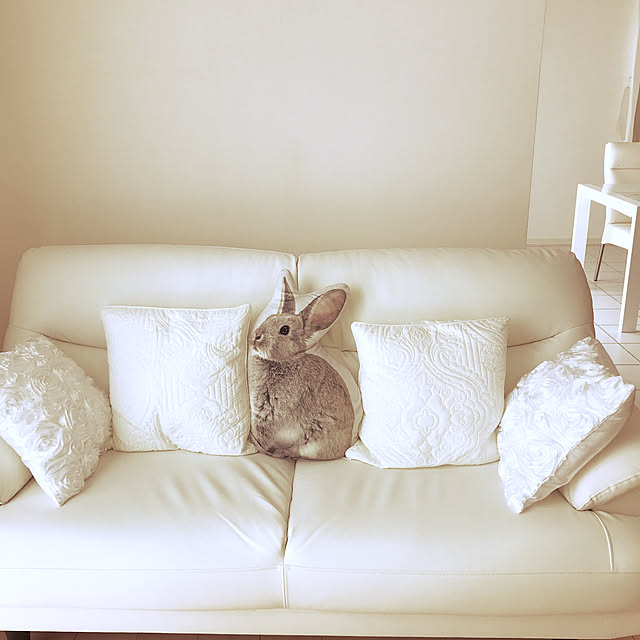 hiro_hiromiさんの実例写真