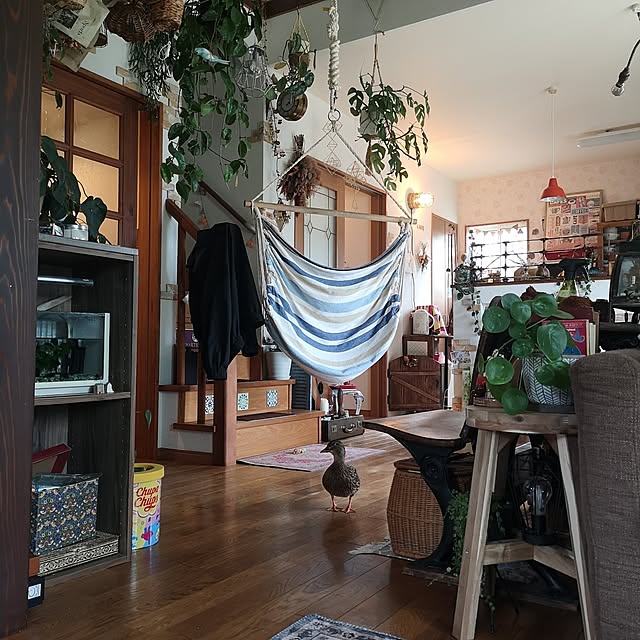 akiさんの部屋