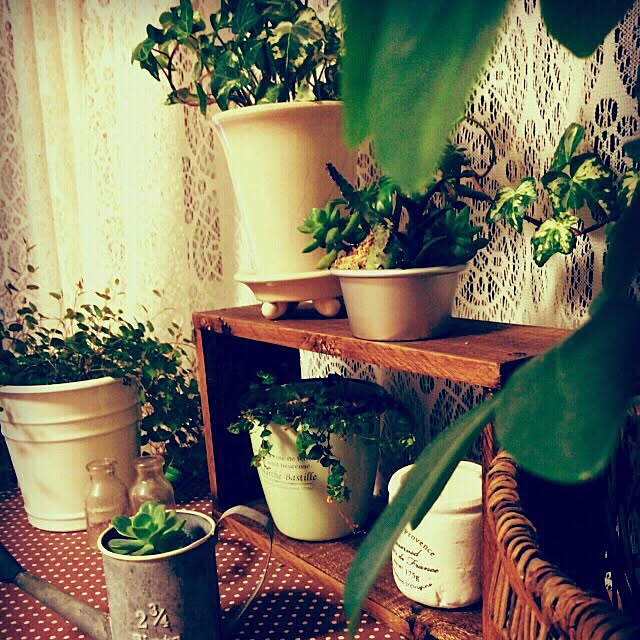 机/多肉植物/DIY/観葉植物のインテリア実例 - 2015-05-18 00:34:50