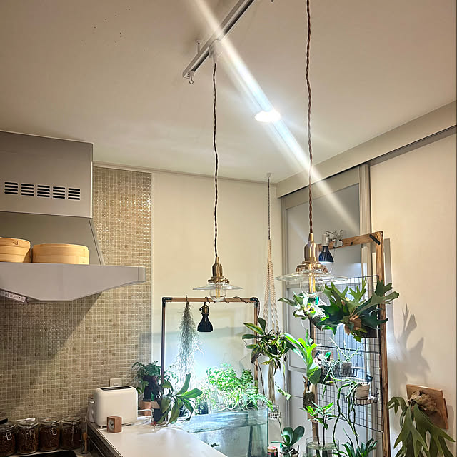 greycatsさんの部屋